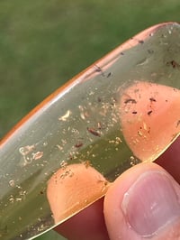 Image 9 of Copal Amber With Preserved Insects #2629