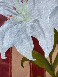 Image 3 of white lily 