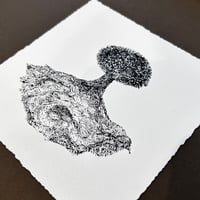 Image 2 of Tree of Life