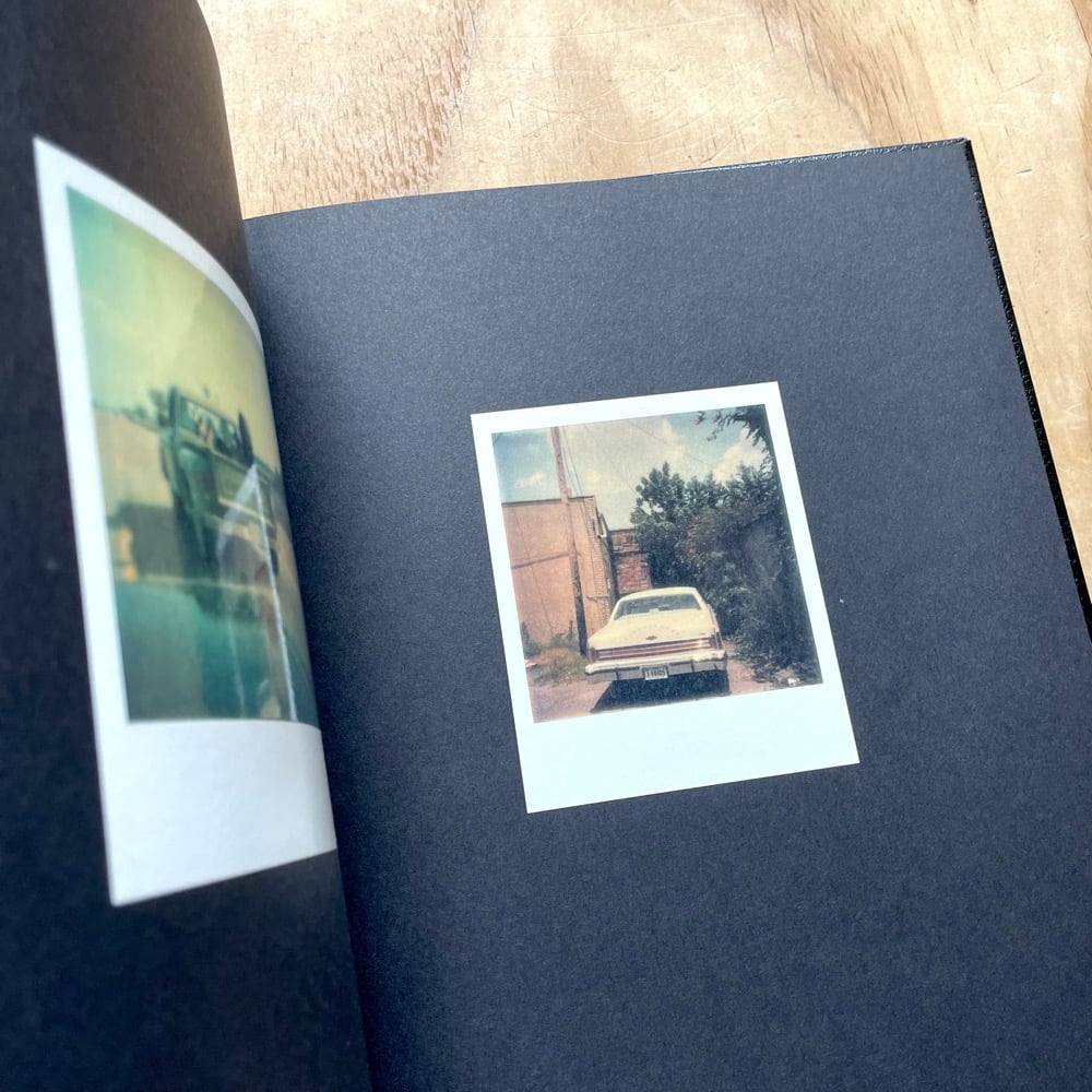 William Eggleston - Polaroid SX-70 | Photobook Junkies