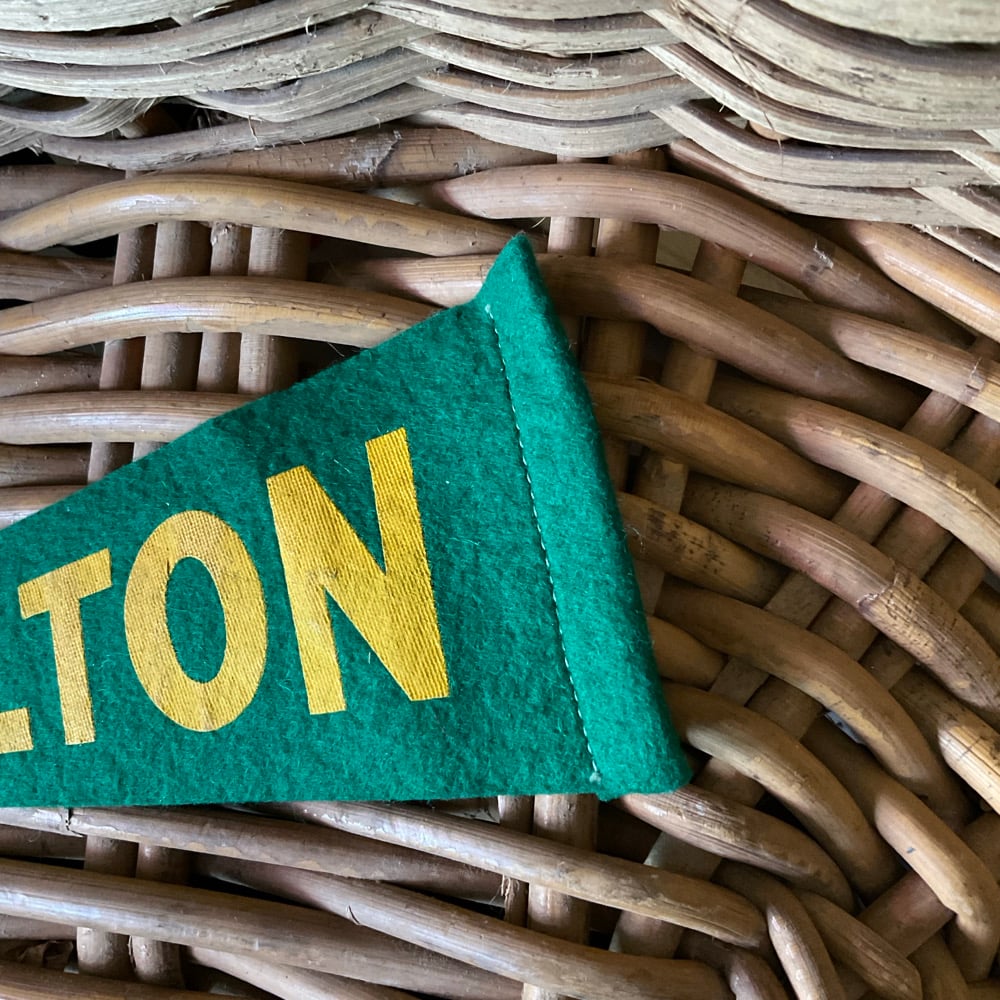 Image of Hamilton Pennant