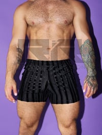 Image 1 of THE BLACK LICORICE SHORTS