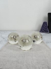 Image 2 of Dandelion Wish Globe