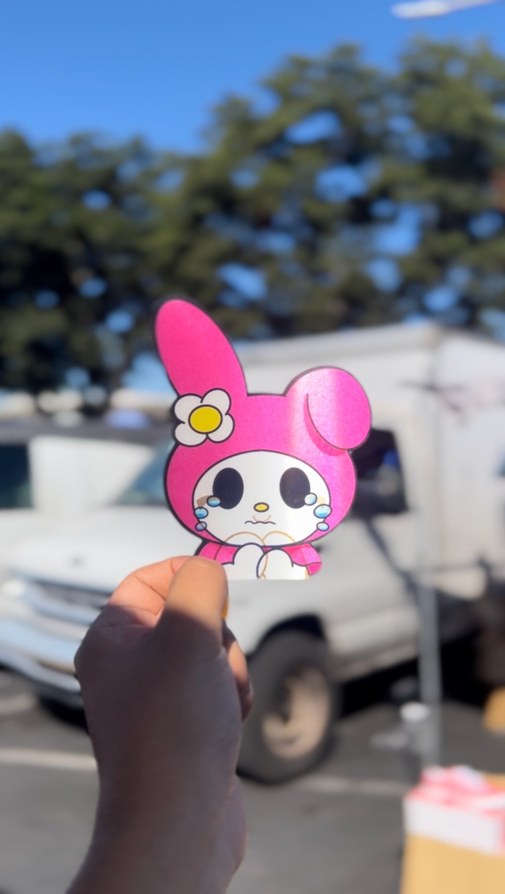 Hello kitty & friends
