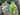 Leggy Frog