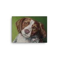 Image 3 of Brittney Spaniel