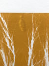 Yellow Grass 3  Original Botanical Monoprint  A4  *Seconds*