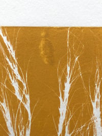 Image 5 of Yellow Grass 3  Original Botanical Monoprint  A4  *Seconds*