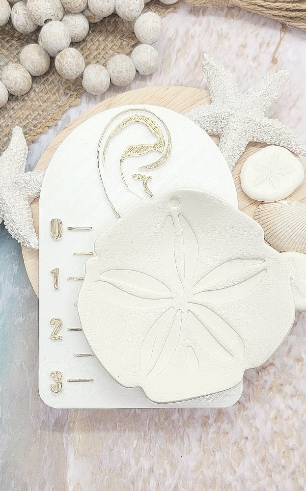 Image of Sand Dollar Trinket Dish 