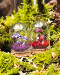 Image 1 of Small Domes