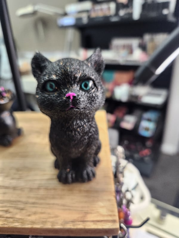 Image of Resin black with gold kitty Sabrina
