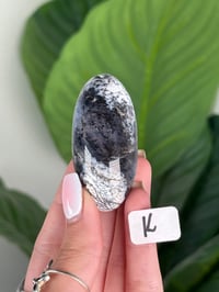 Image 11 of DENDRITIC OPAL SHIVAS