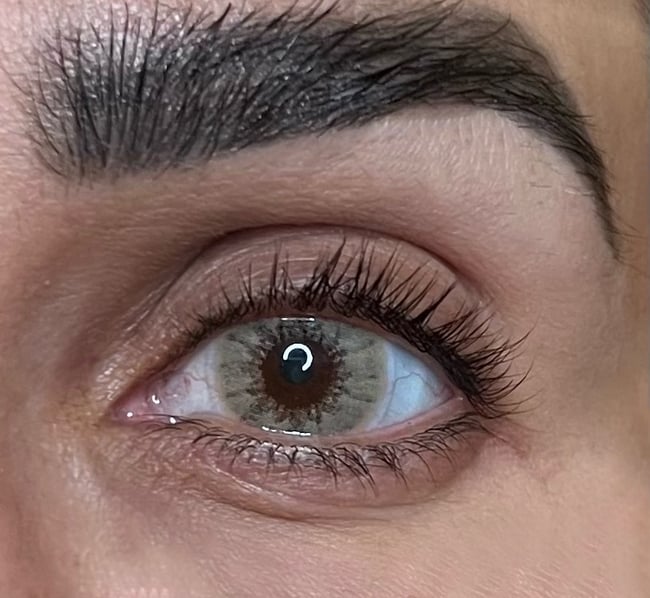 Dreamcolor Mini Oscar Brown Pretty Fabulouz