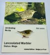Lanceolated Warbler - October 2021 - UK Birding - Enamel Pin Badge