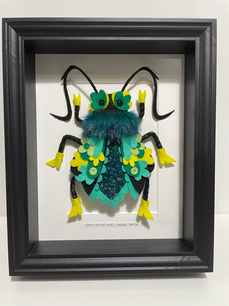 Image of Lemon-booted Leafy Luggage Beetle