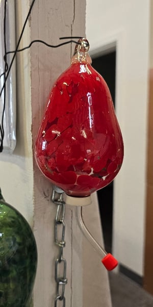 Image of Hummingbird feeder