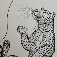 Image 2 of Cheetah 
