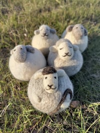Image 1 of Felted Sheep Decorations 