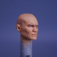 Image 3 of Viper
