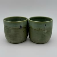 Image 3 of Muted Fern Tumblers 