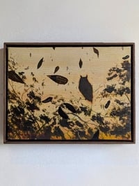 Image 4 of Owl No. 2