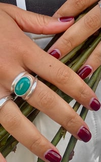 Image 1 of Lilly Pond 