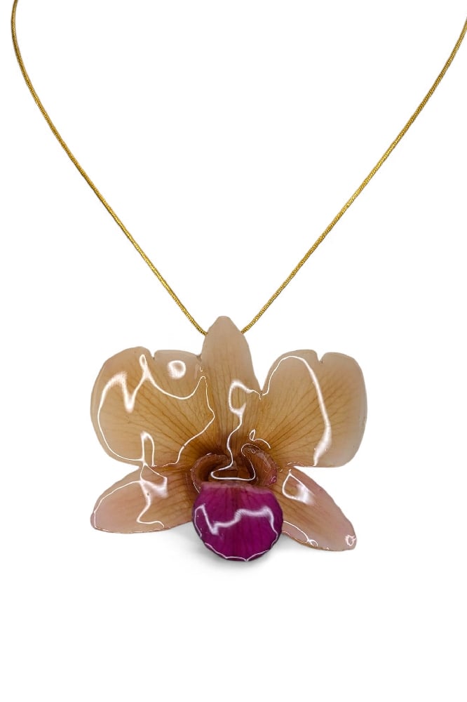 Image of Dendrobium Orchid Pendants (Autumn Update)