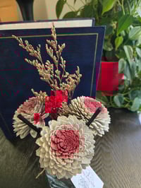 Image 4 of Zinnia Burst