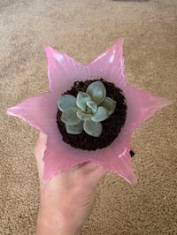 Image 3 of Ghost Plant in Pink Glass Flower