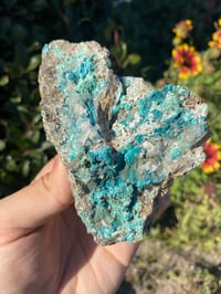 Image 2 of Chrysocolla Psuedomorph 