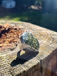 Image 1 of Ocean Jasper Statement Ring