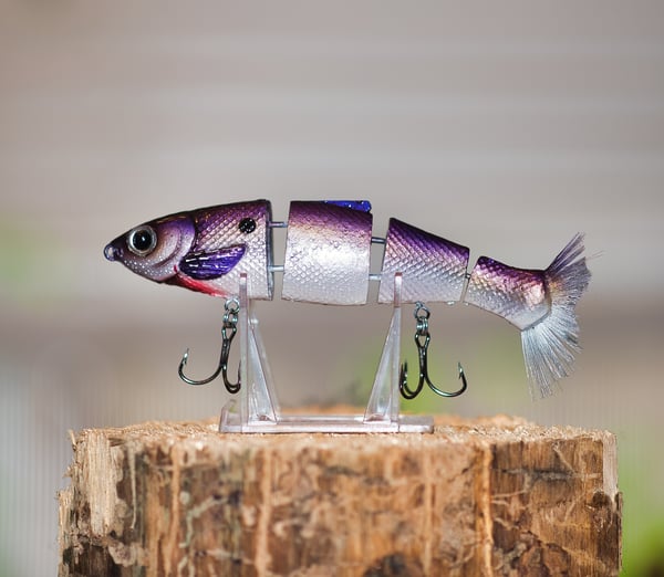 Image of Bull Herring — Purple Shad