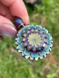 Image 7 of Mountain Daisies