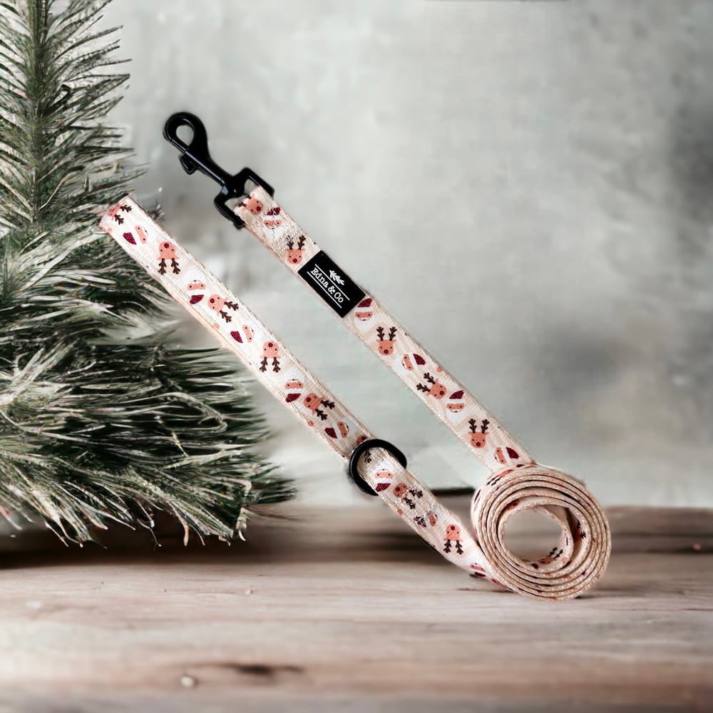 Image of Paws & Presents Christmas Leash