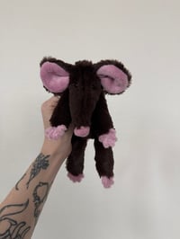 Image 7 of Mystery Rat Pre-Orders 