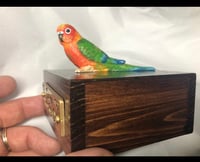 Image 4 of Custom Engraved Sunrise Conure Bird Mini Urn Pet Portrait To Your Photos