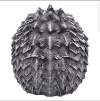 Image 5 of Scaled Remains 15.4cm