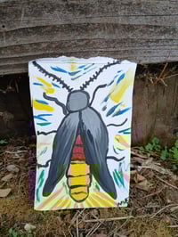 Image 2 of Lightning Bug