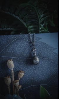 Image 1 of Real poppy seed pod necklace