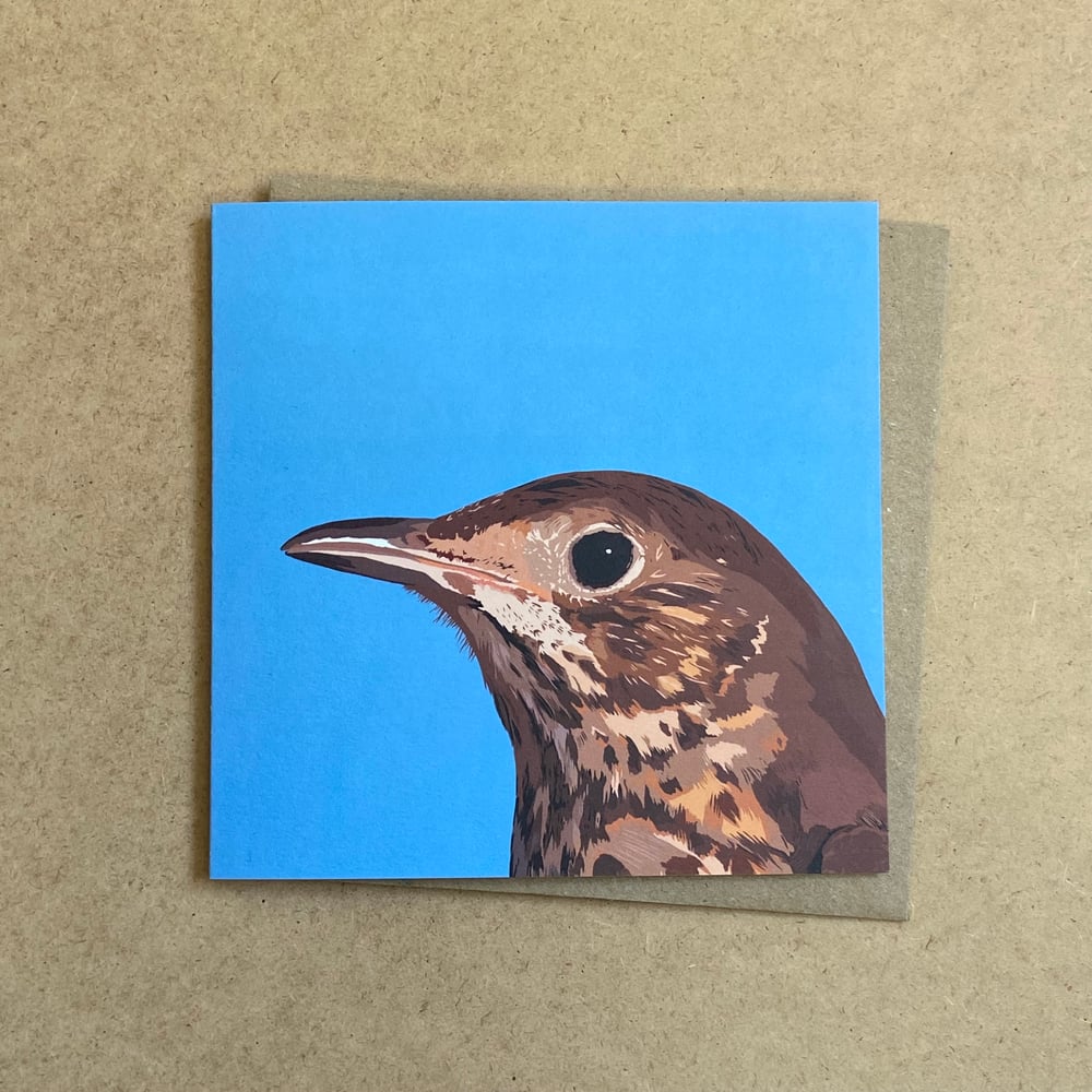 Image of Song Thrush Greetings Card