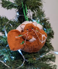 Image 4 of Gumdrop the micro mini gingerbread kitten. 