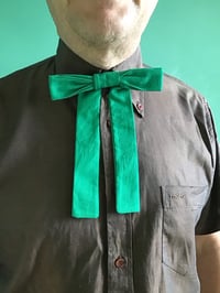 Image 6 of Kentucky western tie