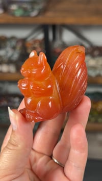 Image 2 of Carnelian Squirrels