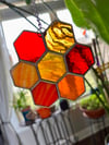 Large Honeycomb Flowers