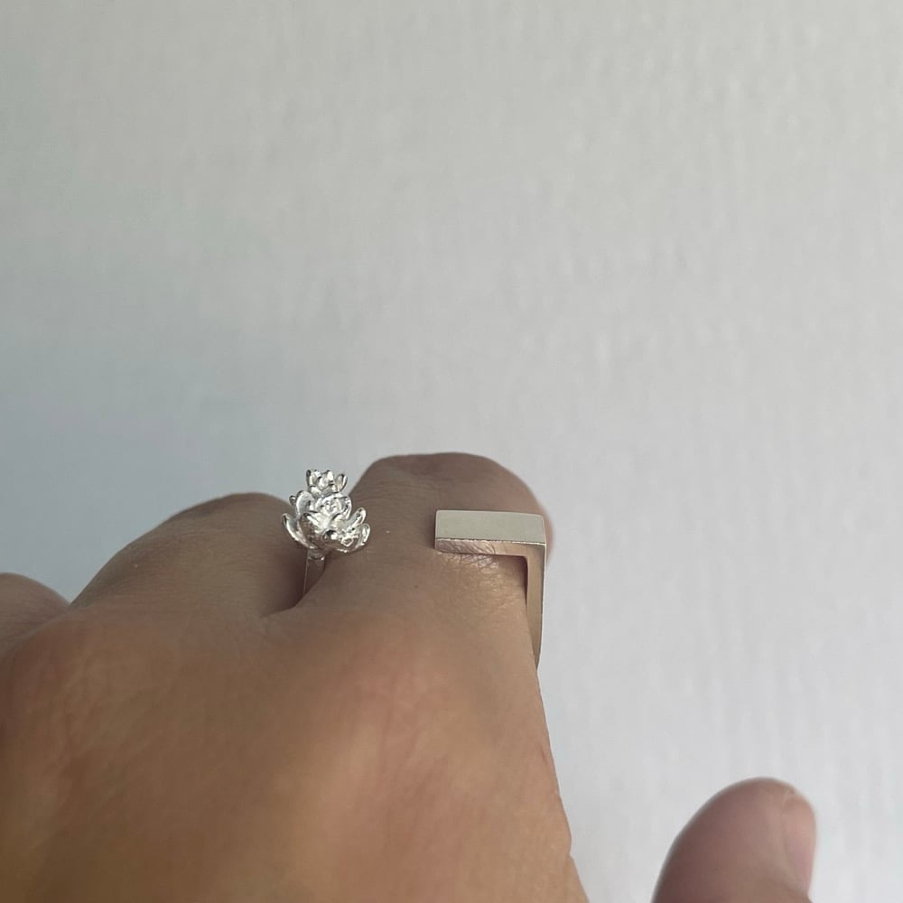 Image of seek magic everyday ring