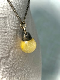 Image 1 of Petrified Sunrays