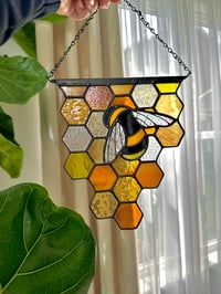 Honey Comb Bee Panel