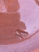 Image of Clear glazed bird feeder/bath (e)