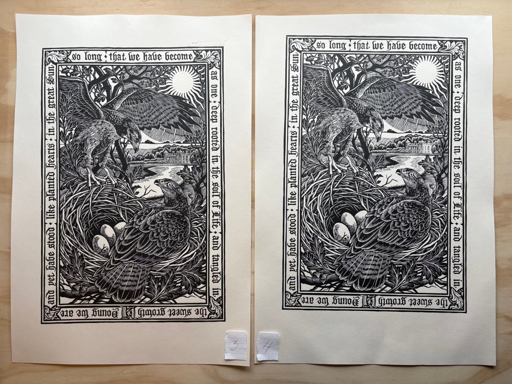 Image of ‘Blickling Buzzards’ Seconds/Proofs