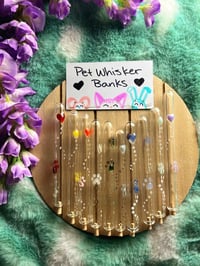Image 1 of Whisker Bank!! Standard style 🧪 🐱 Custom Colour - Made to Order